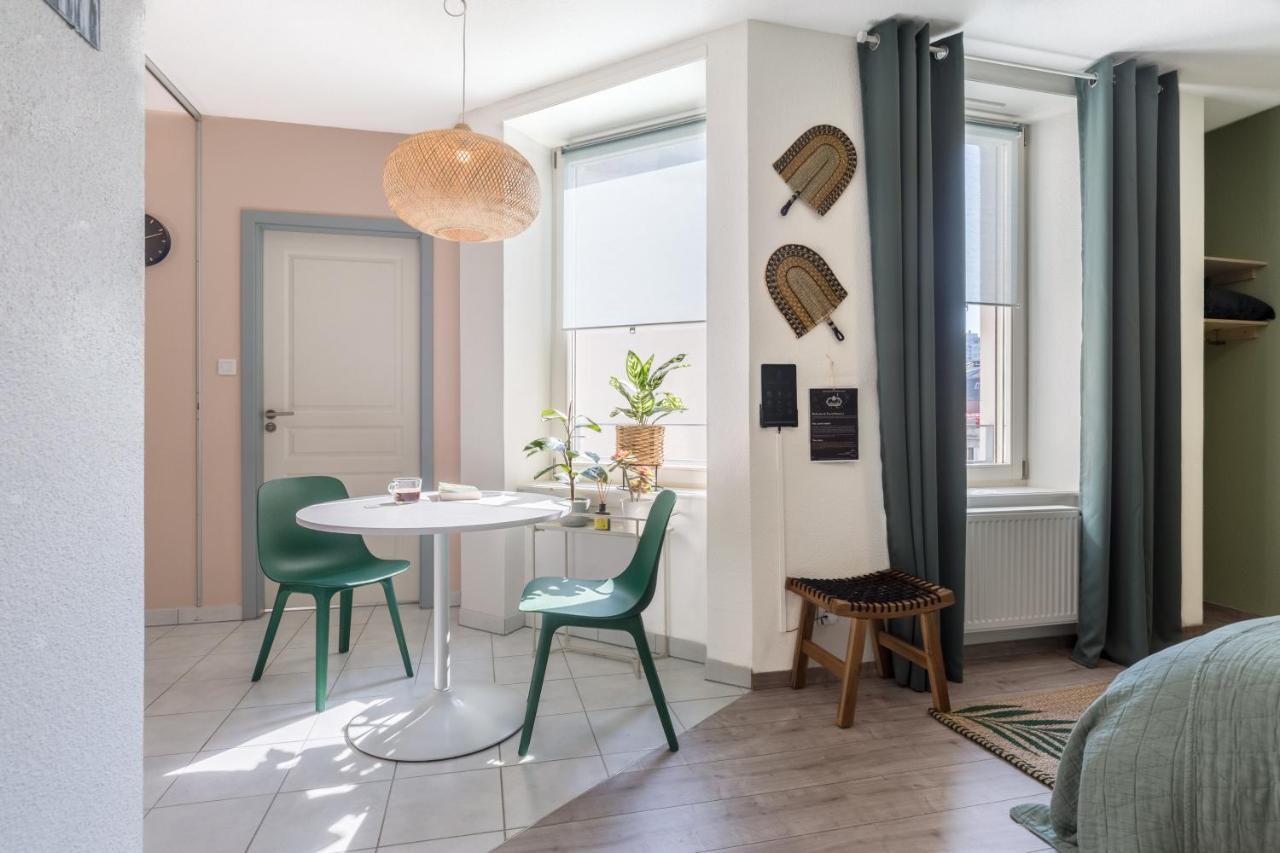 Travel Homes - Le Greenbay, Adorable Et Agreable Mulhouse Kültér fotó